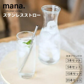 ステンレスストロー 18cm ステンレス製 ストロー エコ mana. ストローブラシ付き ストレートタイプ 繰り返し使える 食洗機OK おしゃれ シルバー プラスチックフリー サスティナブル レビュー特典あり 1000円ポッキリ 送料無料