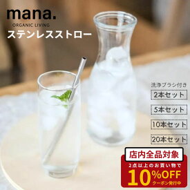 ステンレスストロー 18cm ステンレス製 ストロー エコ mana. ストローブラシ付き ストレートタイプ 繰り返し使える 食洗機OK おしゃれ シルバー プラスチックフリー サスティナブル レビュー特典あり 1000円ポッキリ 送料無料