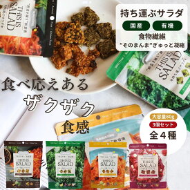 野菜 グラノーラ 国産 有機 4種類 持ち運ぶサラダ ザクザク食感 ケール にんじん 80g 食物繊維 保存料不使用 白砂糖不使用 化学調味料不使用 アニマルフリー 有機野菜 健康おやつ ベジタブル ヘルシー 大人 子供 最強配送 送料無料