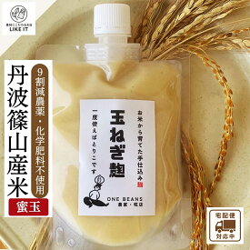 玉ねぎ麹 無添加 丹波篠山産米 糀 180g×3袋 減農薬 化学肥料不使用 玉ねぎ 蜜玉 天日塩 自然 天然 旨味 甘味 万能調味料 炒め物 お肉の下味 チャーハン スープ 驚きの美味しさ 国産 最強配送 送料無料