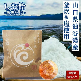 山口県油谷湾産 しお飴 黒糖入り 釜炊き塩 塩飴 ミネラル補給 塩分補給 熱中症対策 夏 スポーツ 運動 あめ キャンディー おやつ 90g 国産 送料無料