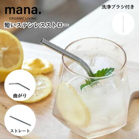 ステンレスストロー 短い ショート 子供 キッズ用 ストロー ステンレス製 13cm エコ mana. ストローブラシ付き ストレートタイプ 繰り返し使える 飲食店 業務用あり 食洗機OK おしゃれ シルバー プラフリー 送料無料