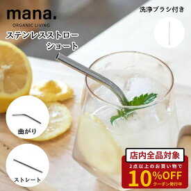 ステンレスストロー 短い ショート 子供 キッズ用 ストロー ステンレス製 13cm エコ mana. ストローブラシ付き ストレートタイプ 繰り返し使える 飲食店 業務用あり 食洗機OK おしゃれ シルバー プラフリー 送料無料