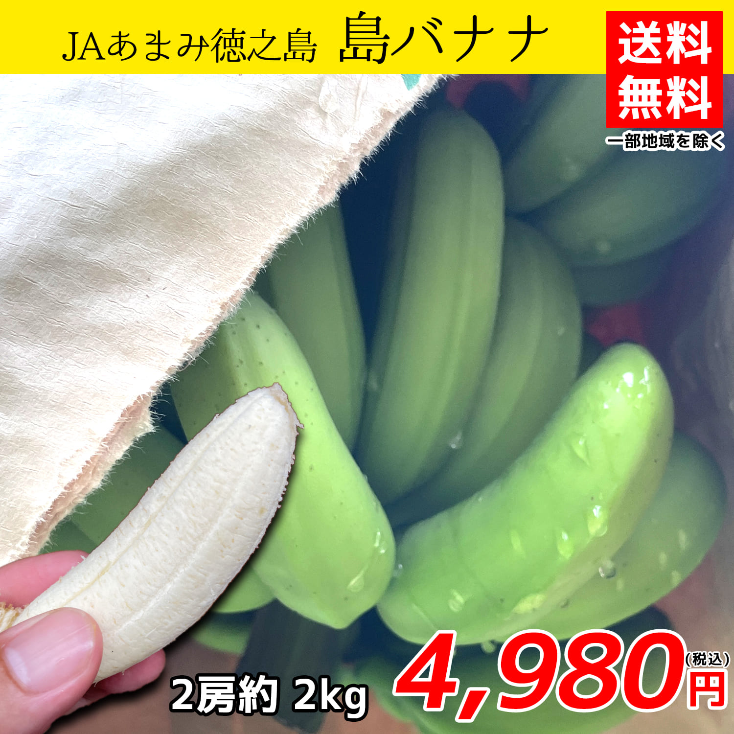 数量は多 甘さの後に襲ってくるのはフルーティーさ JAあまみ徳之島 島バナナ 初回限定 送料無料