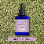 【2点購入でラベンダー】 &SH 100%ピュア アロマ エッセンシャルオイル ( 精油 ) 真正ラベンダー 30ml アロマオイル [ 卓上 夜 おしゃれ 無添加 天然 香り 石鹸 石けん 原料 材料 素材 アロマテラピー ]【定形外 送料無料】 +lt3+