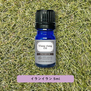 y2_wŃnbJz &SH v~A GbZVIC CC 5ml [ A}  A100% VR sA A}IC IC Mtg v[g A}Xg[ fBt[U[  