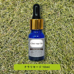 y2_wōGETz &SH v~A GbZVIC NZ[W 10ml X|Cg^Cv / Z[W A}  A100% VR sA A}IC IC Mtg v[g Xg[ f