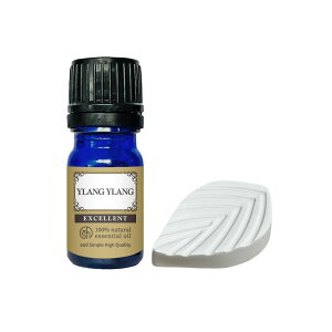 y2_wōGETz [tA}Xg[ &Zbg &SH GNZg GbZVIC CC 1st ( t@[Xg ) 5ml [ A}  A100% VR A}IC IC Mtg 