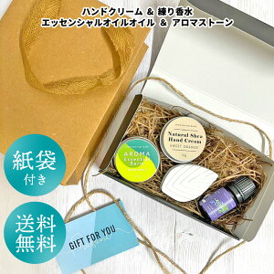y2_wŃnbJz AhGXGC` MtgZbg D [ Mtg{bNX Mtg nhN[ Zbg v[g NX}X   荁 RX {fB[ fB[X GbZ