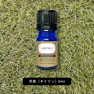 【2点購入で香料GET】 &SH エクセレント 月桃 精油 タイリンゲットウ 3ml 北大東島産 [ 沖縄県 沖縄 タイリン月桃精油 エッセンシャルオイル タイリン 無農薬 アロマオイル アロマ 送料無料 花