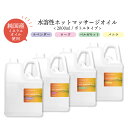 【2点購入で耳そうじ】 &SH 香りが選べる 水溶性 ホットマッサージオイル ウォーターソルブル 2000ml エステ サロン 用 ラベンダー ローズ ベルガモット バニラ 詰め替え用 [ 2L 1L 業務用 キャリアオイル ボディオイル アロマ マッサージ オイル プロ仕様] tg_smc +lt3+