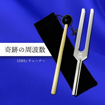 楽天市場】音叉 ヒーリング 効果の通販 ★神経・睡眠★ウェイト付き50Hz音叉 ヒーリング リラクゼーション
