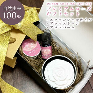 y2_wōGETz &SH [Y MtgZbg / v~A MtgZbg [ o KN Mtg v[g a LO A} o[ GbZVo[  tOX tOX