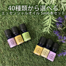 【2点購入で薔薇バーム】 &SH 【AEAJ表示基準適合認定精油】アロマ スターター セット 5 エッセンシャルオイル 5ml×6本 セット アンドエスエイチ [ お試し アロマ おしゃれ 無添加 天然 香り コスメ アロマセット 精油 アロマオイル 5ml ]tg_smc