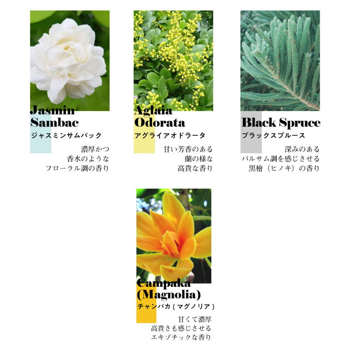 楽天市場 ラベンダー精油オマケ Sh 植物100 アロマ ロールオンボトル 10ml ローズゼラニウム ロールオン アルコールフリー センシティブ メンズ レディース 香水 美容オイル フェイスマッサージ マッサージ 定形外 送料無料 Lt3 くもくもスクエア