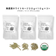 【2点購入でヒノキ油】 &SH 浄化用 ホワイトセージ カリフォルニア産 直輸入 無農薬 30g（10g×3個 セッ…