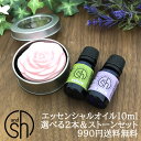 【2点買で香水オイル】 &SH 【AEAJ表示基準適合認定精油】アロマ スターター セット 2 エッセンシャルオイル 10ml 2本…