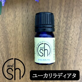 楽天市場 ユーカリラディア タの通販