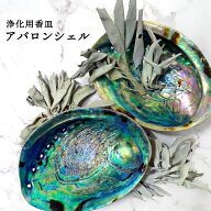【2点購入でヒノキ油】 ホワイトセージ 浄化用 アバロンシェル ニュージーランド産 10〜14cm 片面磨き ポ…