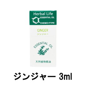 【2点購入でラベンダー】 生活の木 エッセンシャルオイル ジンジャー 3ml [ tree of life 精油 天然 天然精油 アロマオイル アロマ プチグレン オイル マッサージオイル マッサージ トリートメント リラックス 癒し リラクゼーション ]【 定形外 送料無料 】