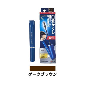 �y2�_�w���ō���GET�z �T���� �h �v�� �����������J���[ 15ml �_�[�N�u���E�� [ �_���� DARIYA SALONdePRO �T�����h�u�� ���� �����Y �j���p ������ �T�C�h �u���E�� ���F �����B�� �u���V �}�X�J���^