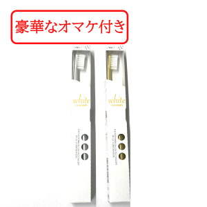 yZtΎZbg܂zyIׂzGC VF uV W-10 1{ p[zCg p[S[h XeCPA Ђ` Ή Ȑꔄi I[PA zCgjO u