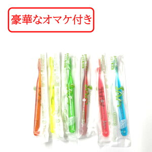 �y�Z���t���Ύ��Z�b�g���܂��z SD �T���t�����h ���u���V 1�{ ��23�y�F�͑I�ׂ܂���z �q�ǂ��p �����^�t�g �u���b�V���O �w���p �W���j�A �L�b�Y ���݂��� ���� ���o�P�A ����� ���|�P�AS