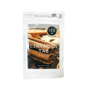 y2_wōGETzVi̗ 120 [ Tvg Tv Vi ^ubg  VipE_[ y ^ h{⏕Hi ₦ s ₦ ނ  э׌ P 