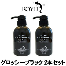 【2点購入でラベンダー】【あす楽】 カラーシャンプー グロッシーブラック 300ml 2本セット ブライセス ロイド [ カラシャン 黒 ブラック シャンプー 黒髪 暗髪 を維持したい方に ヘアカラー コスプレ 白髪 白髪カバー にも ]