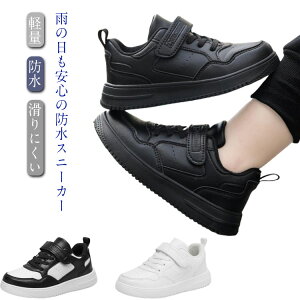 h Xj[J[ LbY j̎q ̎q [Jbg ɂ }WbNe[v q ʊwC w w C ₷ y j  wZ WjA ^ qC ^C XN[