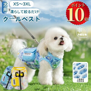 _|Cg10{^ N[xXg MǑ΍ N[xXg pĕ N[xXg ⊴ pxXg n[lX CM Ђ ʋC ^ ėp  [ht hbOEFA 