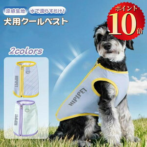 _|Cg10{^ N[xXg p ⊴ pxXg N[EFA N[xXg n[lX CM p   ЂObYʋC z MǑ΍ ⊴ hbOEFA ΍