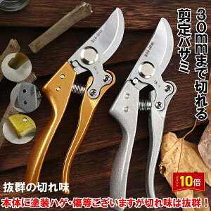 uGg[Ł|Cg10{ v󂠂 ʌ AEgbg ΂ ͂ 30mm nT~  K[f | }؂ }؂΂ bN   