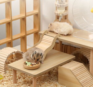 �n���X�^�[�p �͂��� ��q �K�i �X�e�b�v �ؐ� �������p �y�b�g�̃I���`�� �W�����K���A�� �h���[�t �S�[���f�� ���X �^��