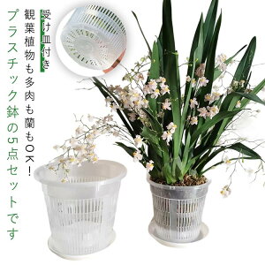 vX`bN t v^[ I[Lbh|bg ϗtA A  Xbg Aؔ A 󂯎Mt Ӓ c|bg |pi 5_Zbg ƒp