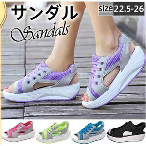 Z[ T_ X|[cT_ fB[X  Xj[J[T_ bV ʋC y JWA WMO ₷ r ʋΒʊw