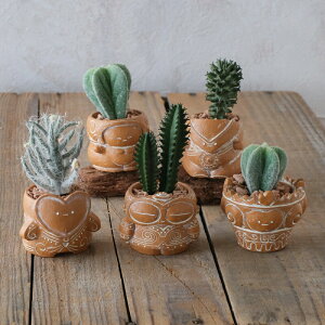 ygW|bg ÑV[YՌyEΉ^y^6Zbgz|W Aؔ 1 K[fjO vg|bg  CeA AWJbv  u ϗtA