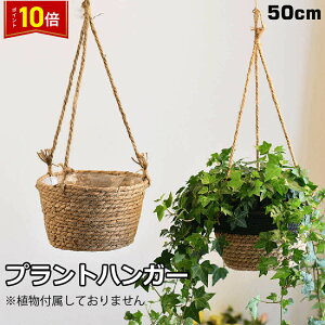 「エントリーで★ポイント10倍 」ハンギングバスケット 吊り鉢 吊り下げ 母の日 植木鉢 ハンギングプランター 観葉植物 花鉢 フラワーポット プラントハンガー 送料無料