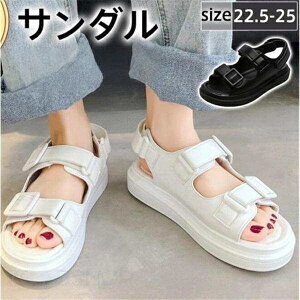 Z[ X|[cT_ fB[X T_  Xj[J[T_ Ȃ ʋC y ؍ JWA ₷ r t ʋΒʊw