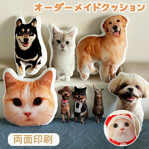 IWi ybg NbV Ɉ̊SI[_[ChNbVI L̎ʐ^₨ql̃CXgō a̓ALȎ蕨ɍœKBʈ\IybgD