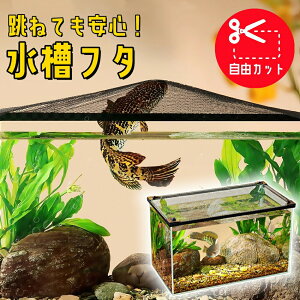  t^ bVJo[ Eh~lbg яoh~ W Jbg\ }Olbg E΍ Jo[ 㕔ݒuEʐݒuΉ 60cm 45cm 30cm ^`^Ή  J ঒ _