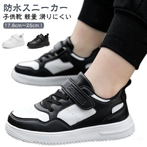 C j h ɂ LbY q 17.8cm`25cm ̎q q j̎q WjA V[Y Xj[J[  ʊwC hXj[J[ }WbNe[v [Jbg wZ w w ₷ 