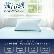 枕カバー 接触冷感 リバーシブル 両面接触冷感 通気 吸汗 速乾 抗菌 防臭 ゴムバンド付き 35×50/50×70c…