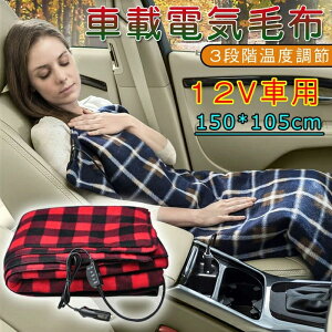 dCѕz 12V ԗp zbguPbg ԍ q[gu Mѕz zbgq[^[ѕz hۉ ΍ g[ Ђ|ѕz |~pѕz 150*105CM