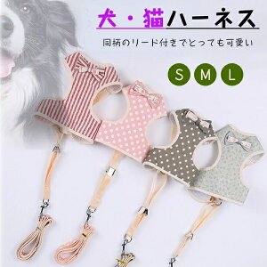 Lp n[lX [hZbg ^ ^ p Lp bV ʋC UObY o   킢 ybgpi Ckp ʗp lRp ˂p ȒPE TCY