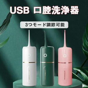 口腔洗浄器 ジェットウォッシャー 口腔洗浄機 USB充電式 280ml 調節可能 IPX7防水 携帯型 歯間ジェット洗浄 タンクレス オーラルケア 矯正 歯垢除去 口臭対策