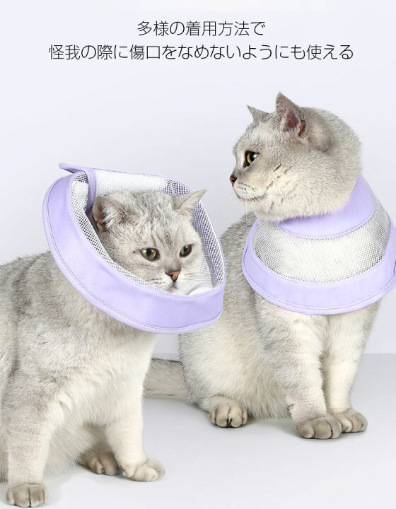 楽天市場】猫 用エリザベスカラー ぽぽねこ 軽くて柔らかい メッシュ 