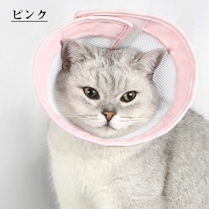 楽天市場】猫 用エリザベスカラー ぽぽねこ 軽くて柔らかい メッシュ 