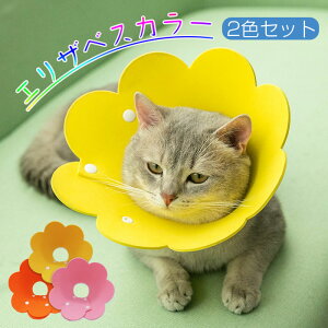 GUxXJ[ Lp p EVA y _炩 ʋC \ p㕞ւ p㏝ی rߖh~ {^ E֗ 2Zbg