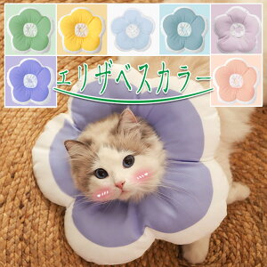 GUxXJ[ Lp p ybgpi tȒP ߉\ Ԍ^ _炩f y  ʋC rߖh~ p ی